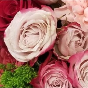 Meet your Posher, Cristal